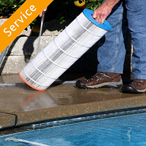 My Pool Turned Green Overnight DIY Pool Service