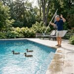 There’s Ducks in My Swimming Pool - How to Keep Ducks out? 1