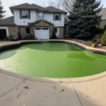 Green Algae